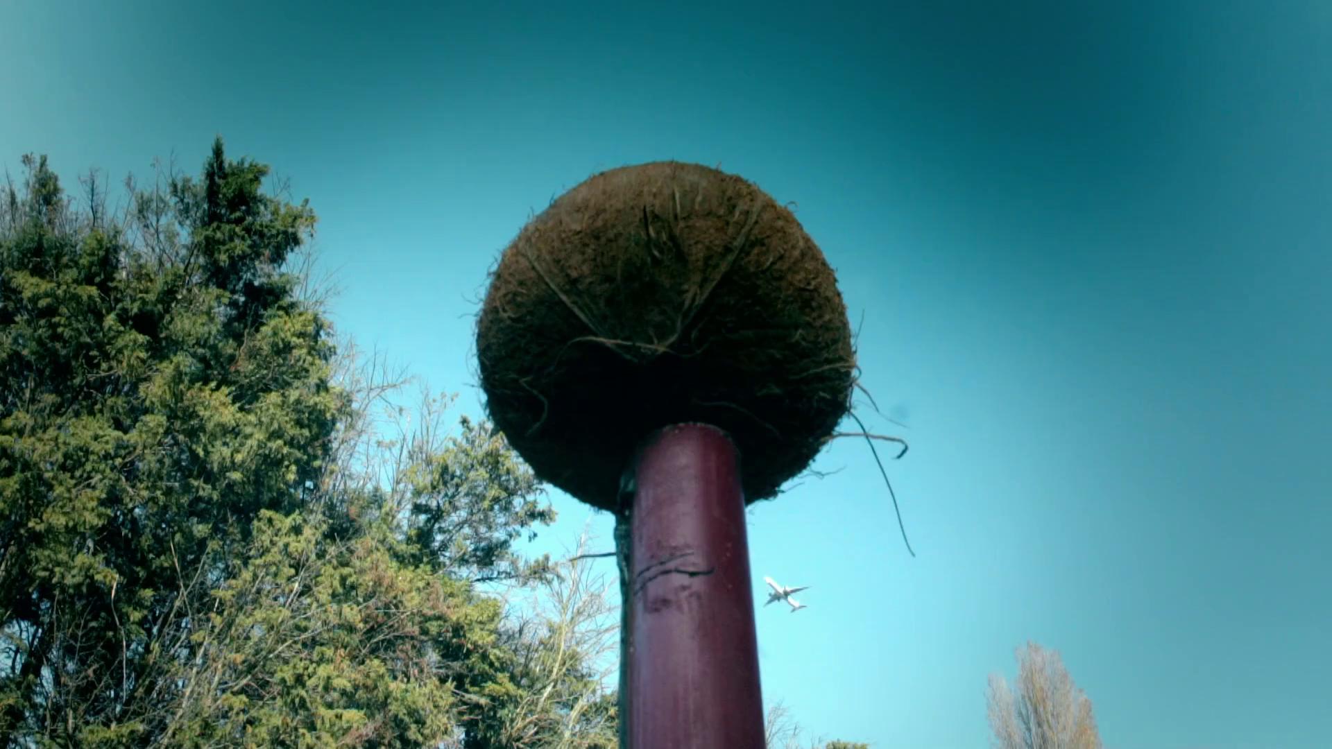 ������