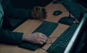 ����� (���) / Cukur (Çukur) - 3 �����, 1 �����