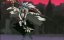 Shaman King ( 04 - ������������� ��������)