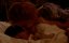    / Fanny och Alexander - 
