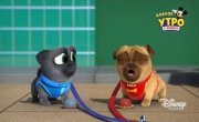 ������� ����� / Puppy Dog Pals - 5 �����, 25 ����� "����� ��������"