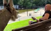 ������� ������� ���� 8)))