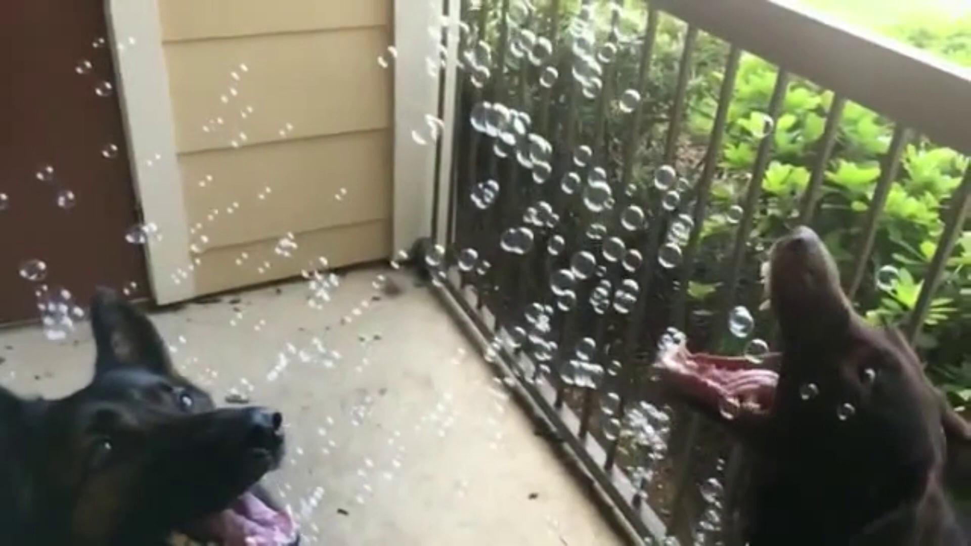 ������
