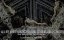  :    The Life of a Showgirl / Taylor Swift: The Official Release Party of a Showgirl - 