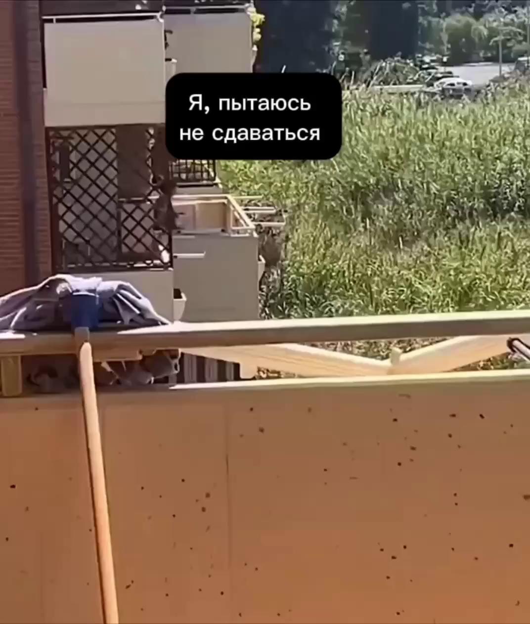 ������