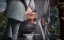 ���������� ��� ���������� / Dao Yao Xing - 1 �����, 22 �����