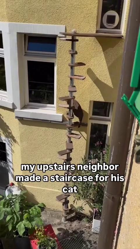 ������