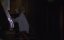   / Haunting Fear - 