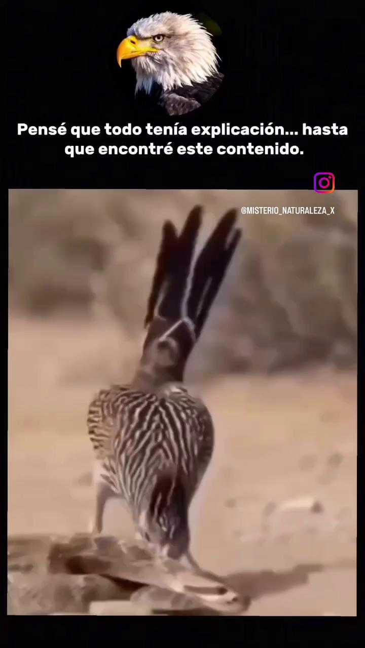 ������