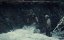  :   / Gold Rush: White Water - 9 , 3 