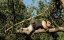    / Wild Uruguay - 