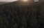   / Wine Creek - 