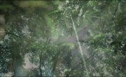   / Double Track Puzzle - 1 , 11 