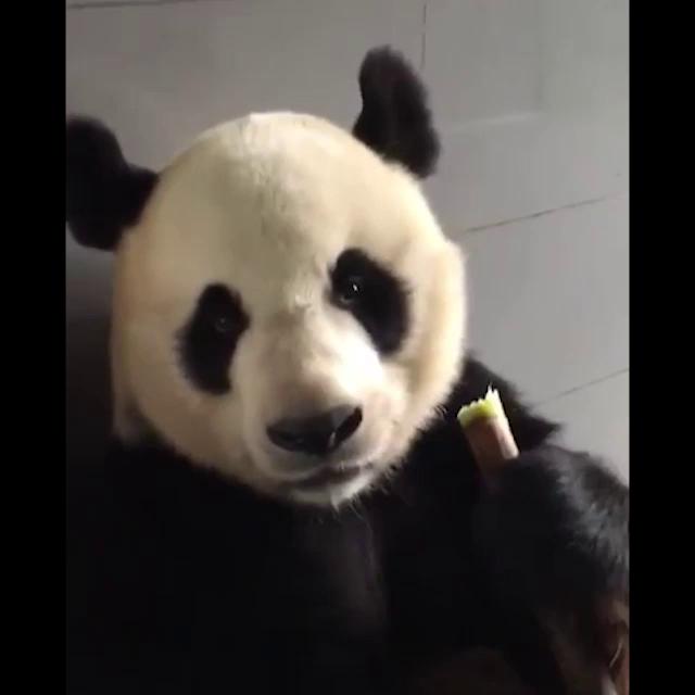 ������