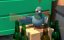 Pigeons
