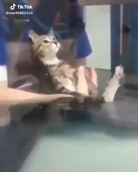 ������