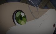 ��������� ������������� �������� ���������� � ���� / Ryoumin 0-nin Start no Henkyou Ryoushu-sama - 1 �����, 6 �����