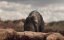  / Monolith - 