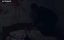 666   / 666 Cin Musallati - 