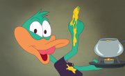 ���������: ������������ / Tiny Toons Looniversity - 1 �����, 6 �����
