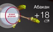 ������ � ������������ ���� �� 05.05.2026
