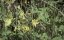     / Zombies from Outer Space -  