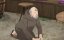 �������������� ���������: ������� ��������������� ������� S-����� / Rakudai Kenja no Gakuin Musou - 1 �����, 4 �����