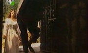 ��������� ������ / Amor gitano - 1 �����, 8 �����