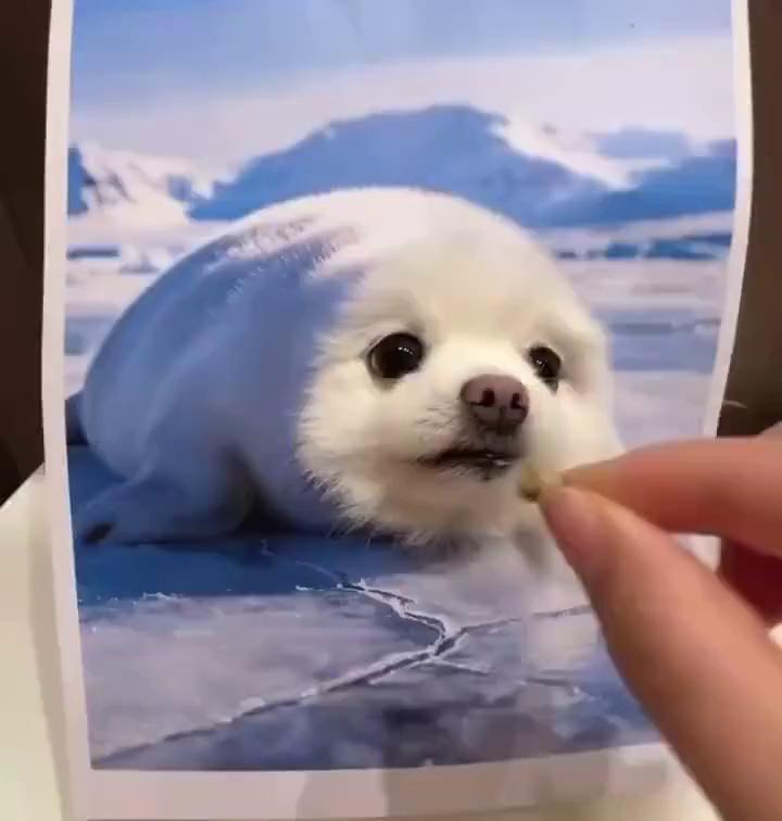 ������