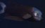  :    / Deep Ocean: Lights in the Abyss - 
