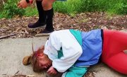 ������������: ������������ ������ / Deformelody: An American Nightmare - �����
