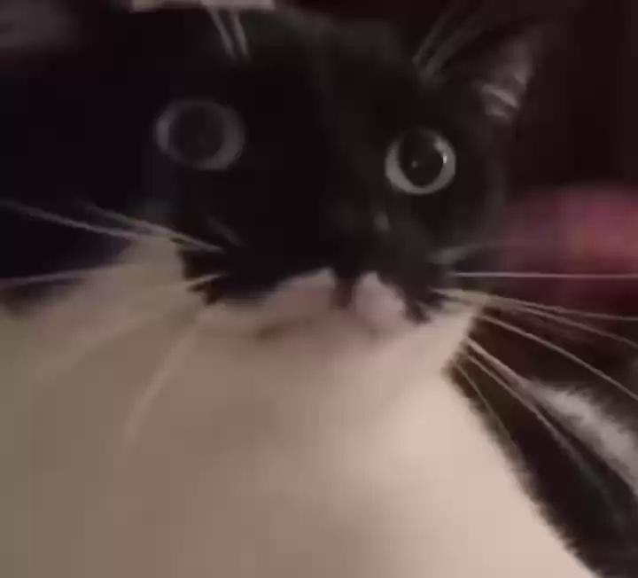������