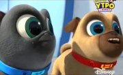 ������� ����� / Puppy Dog Pals - 3 �����, 31 ����� "����� �� ���� ����"