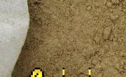 ����� �����