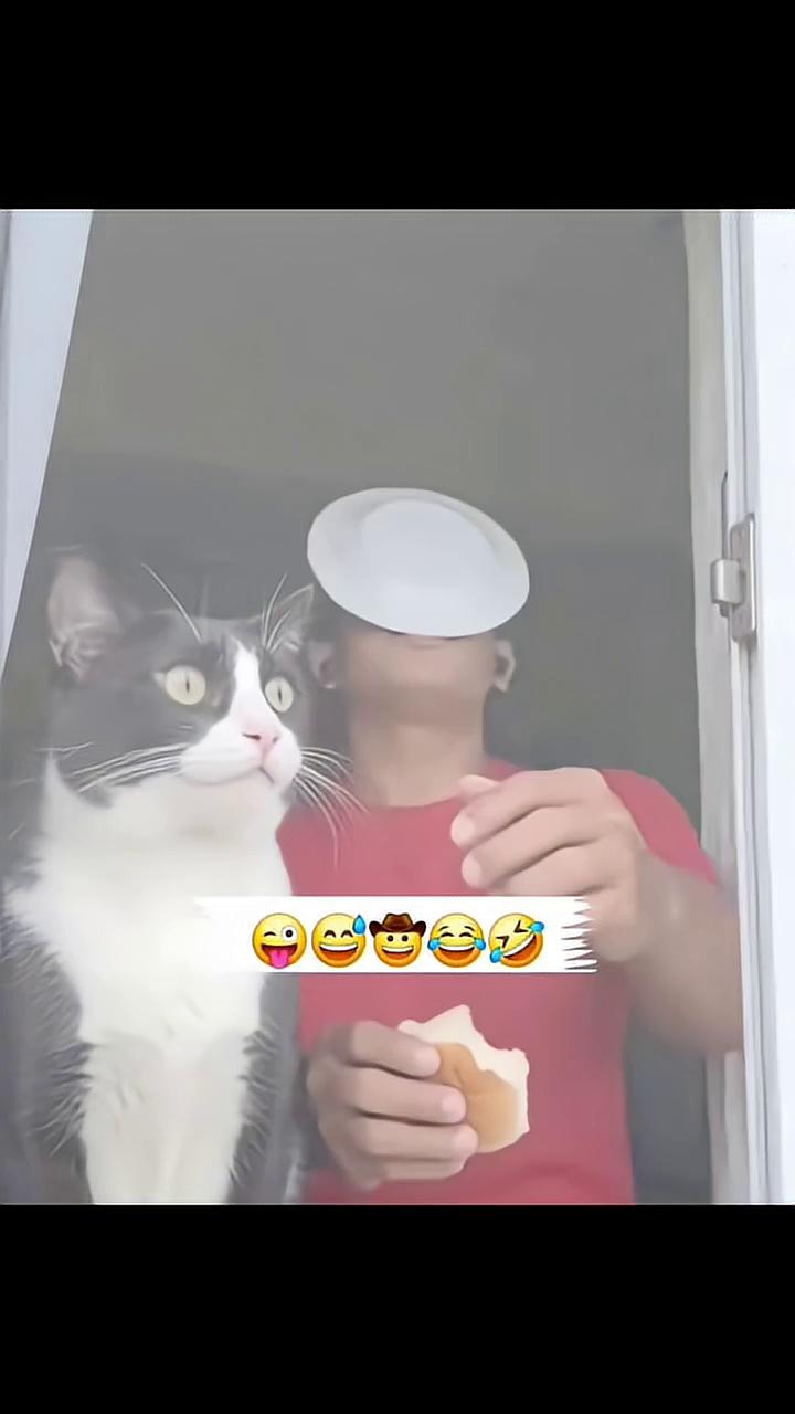 ������