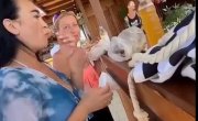 � �� ������ ����� 8)))