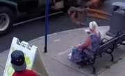 ������ ���������