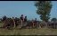  / The Undefeated - 