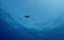 ����������� ��������� ������ / Africa's UnderWater Wonders - 1 �����, 1 �����