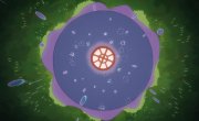 ���� ������� / Tenmaku no Jaadugar - 1 �����, 11 �����