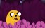 ����� �����������: �������� ������ / Adventure Time: Side Quests - 1 �����, 13 �����