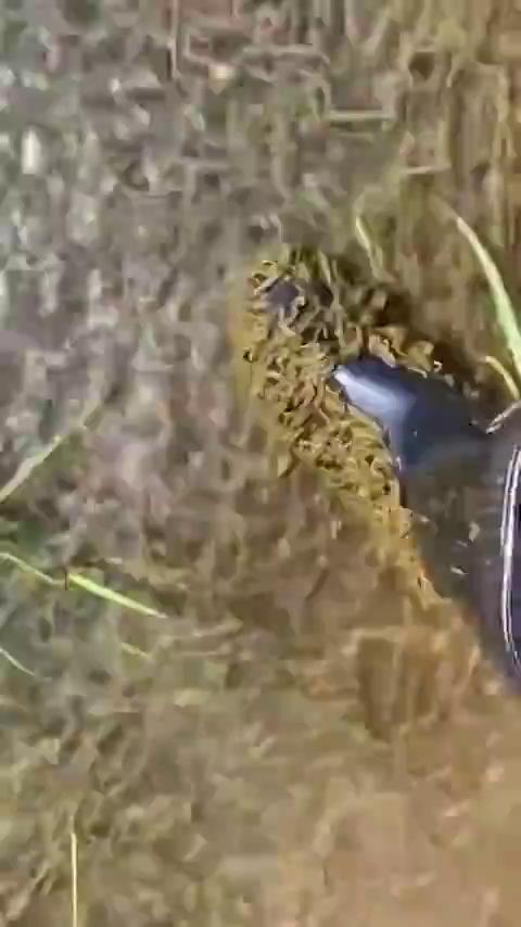 ������