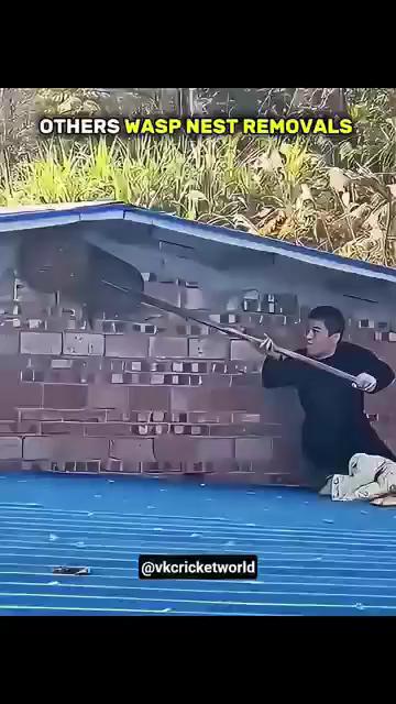 ������
