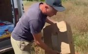 🐷������������� �� ����� ��������