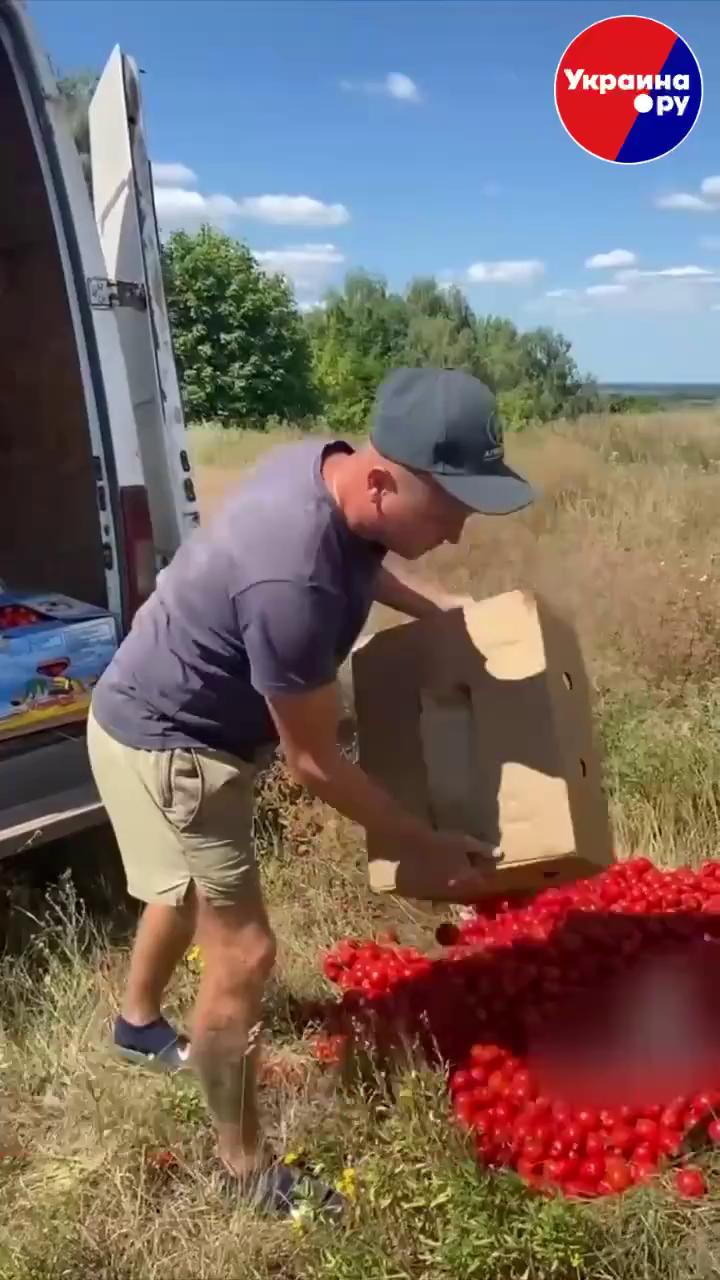 ������