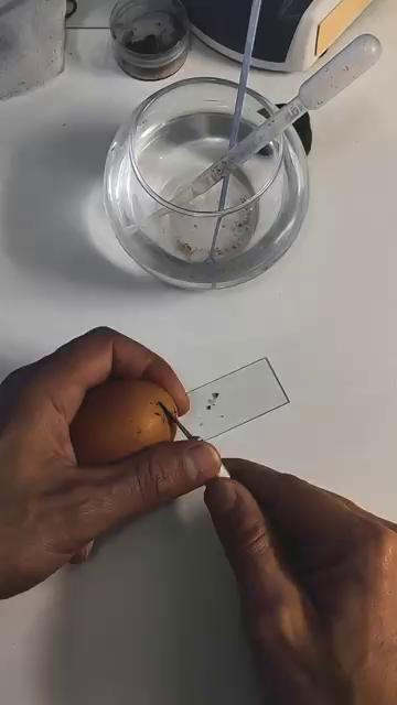 ������