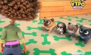 ������� ����� / Puppy Dog Pals - 3 �����, 36 ����� "����������"