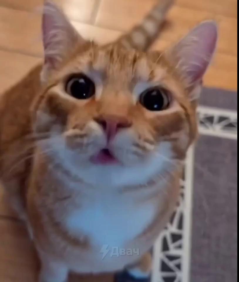 ������