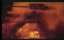   / Little Buddha - 
