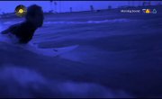 Antiloop - Believe